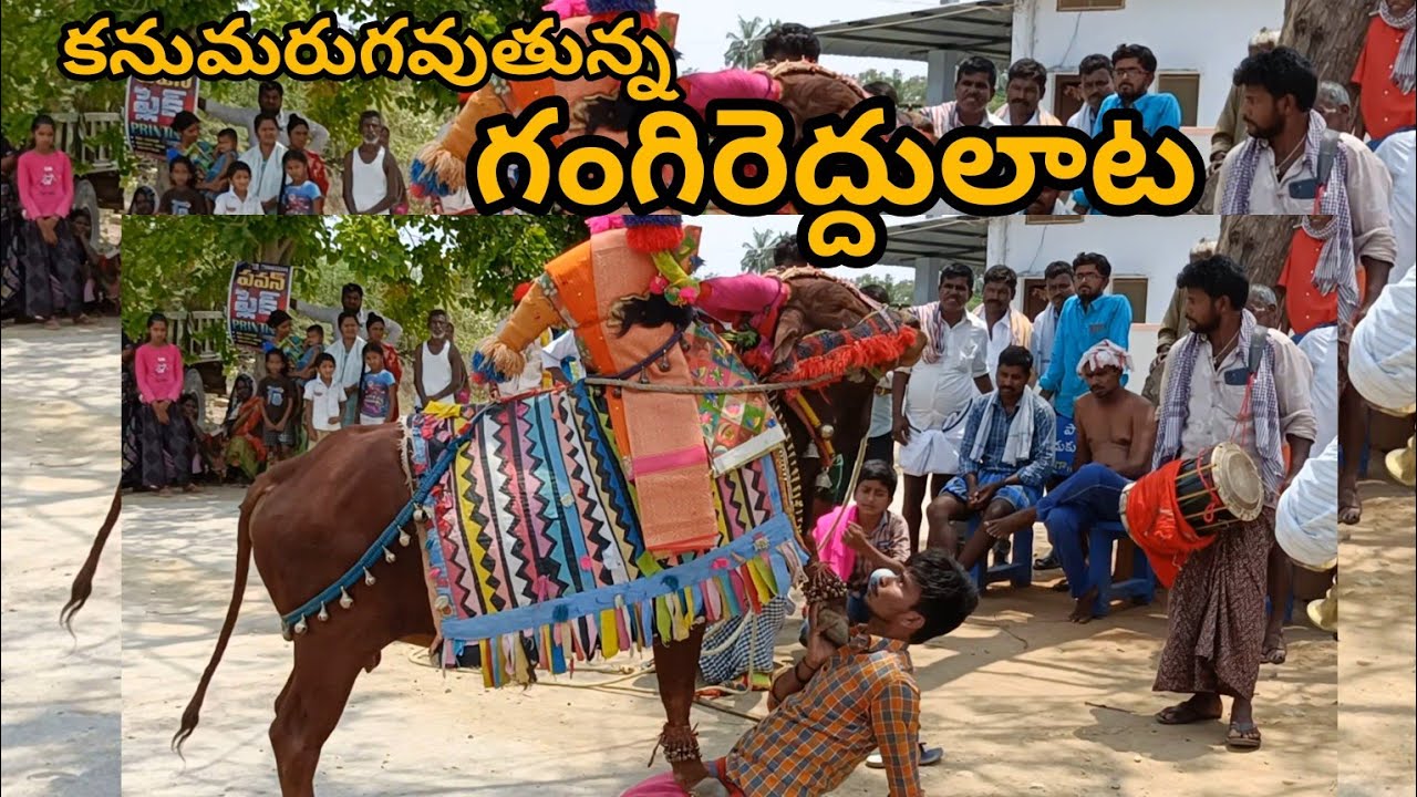 | గంగిరెద్దులాట | | Gangireddula Ata | #sankranthifestival #villagespecial #GangiReddulaAta #Viral