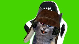 Dop cat gaming custom Facerig Nocopyright greenscreen 1440p screenshot 2
