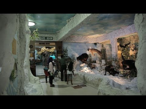 Ada Satwa Liar di Rahmat Museum Medan