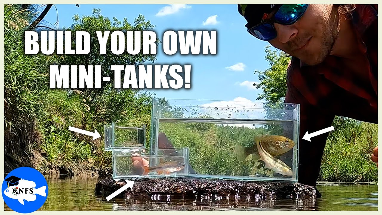 How to Build Mini Glass Tanks for IDEAL FISH PHOTOS! 