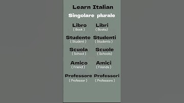 Singolare e Plurale in Italian | Learn Italian Easy Way  #learningitalian