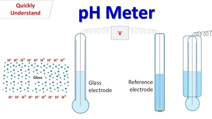 Soil pH test Practical Experiment 