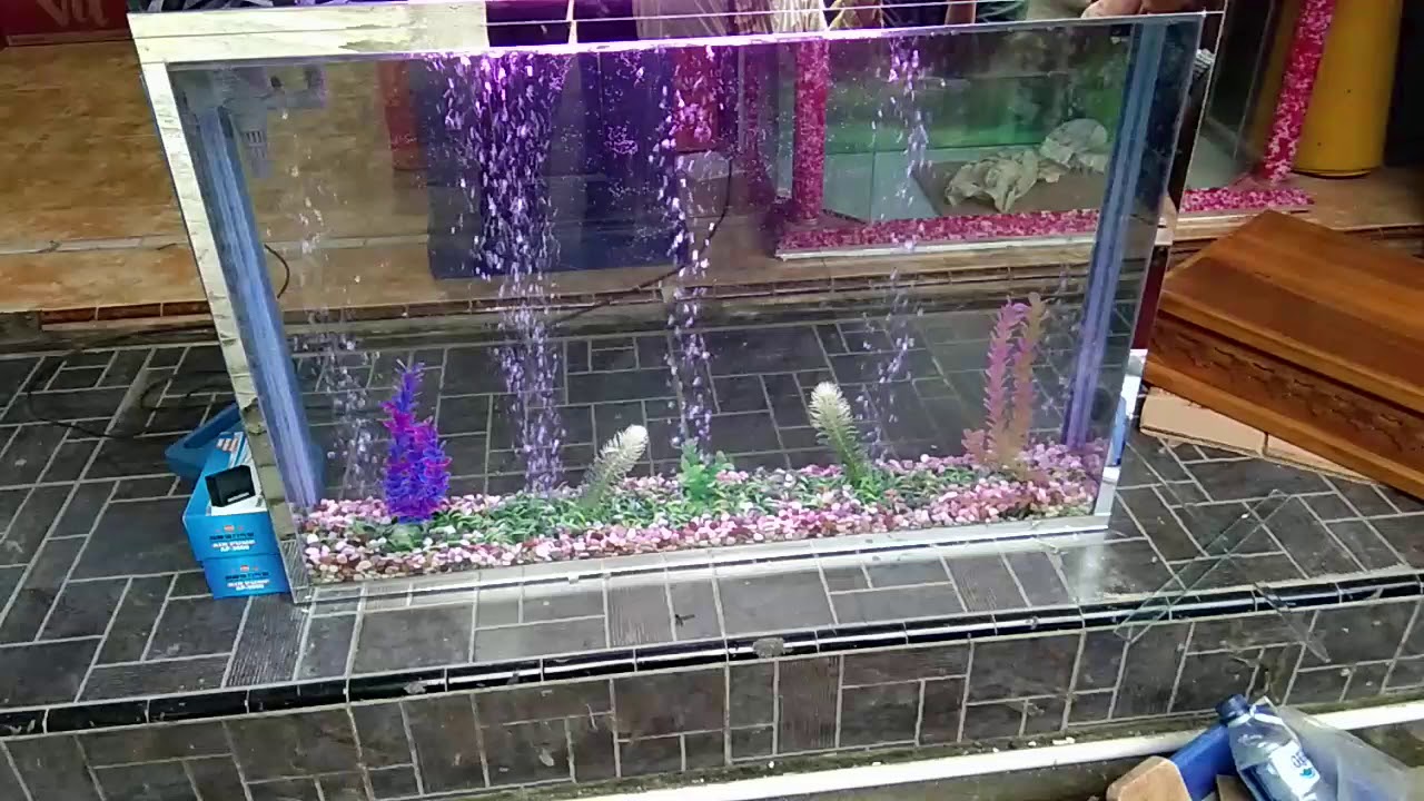  Aquarium  dinding  yg nyentrik YouTube
