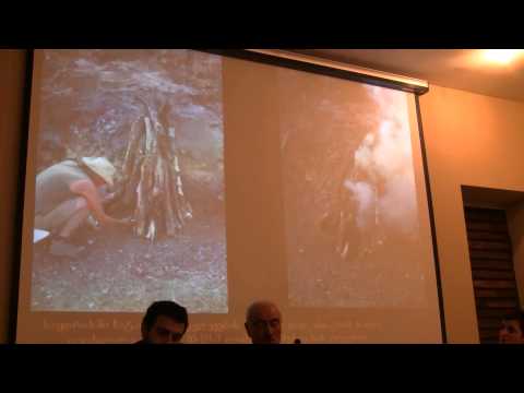 \"მეტალურგიის სათავეებთან - საყდრისის უძველესი ოქროს მაღაროს წარსული და მომავალი\"