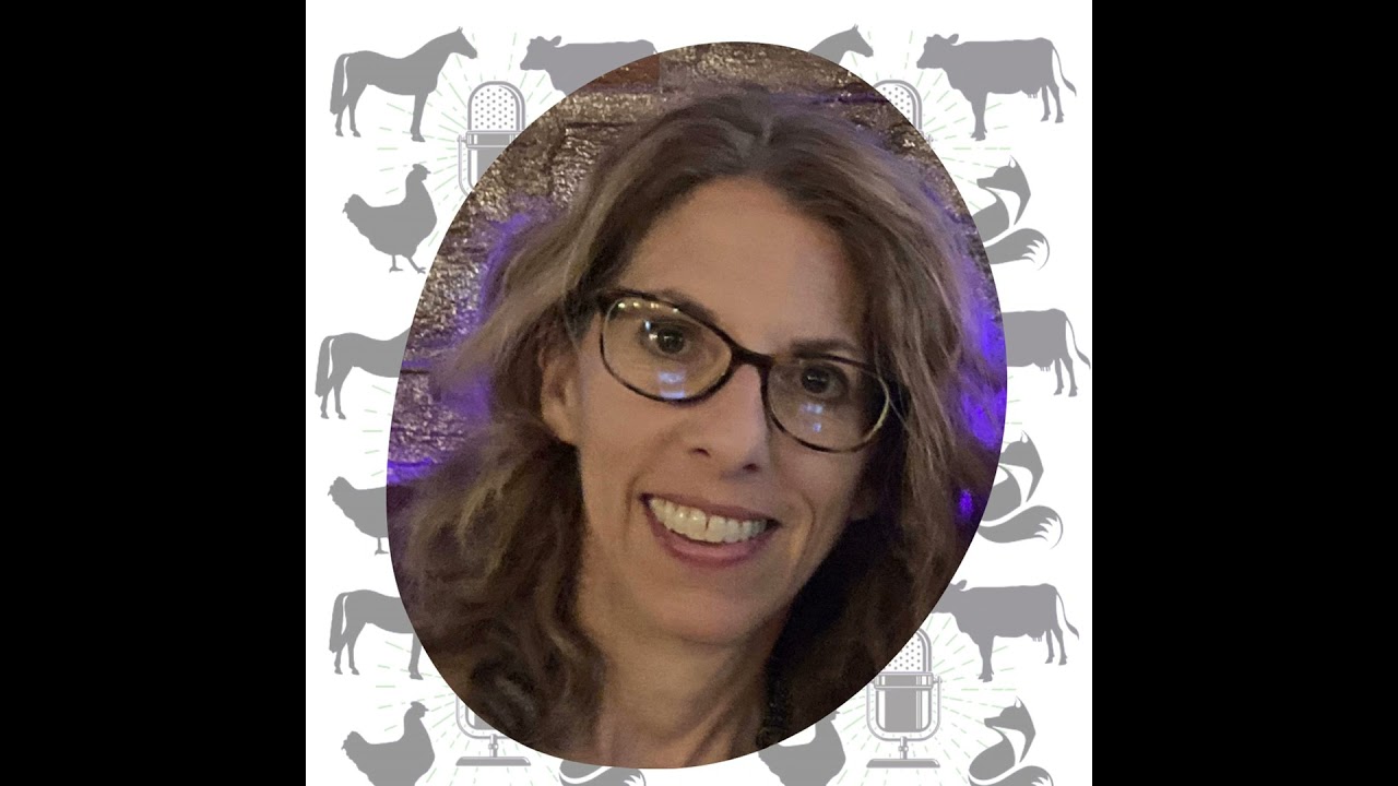 Animal Artivism with Lisa Goldberg