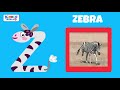 ABC Animals - Flashcards for Toddlers - Learning Animals Names and Sounds