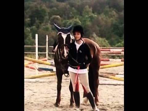 Incontri di amore di cavallo youtube Incontri di amore di cavallo youtube