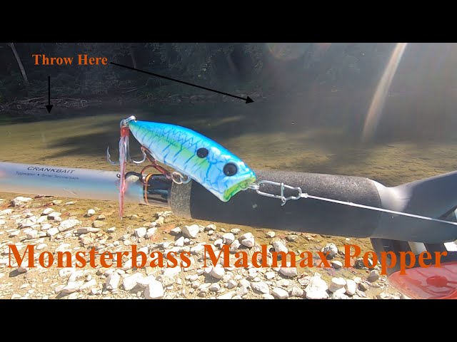 The NEW Mad Max Popper From Monsterbass (Dam Removal pt. 2) 