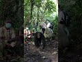 A Chimpanzee Encounter to Remember!