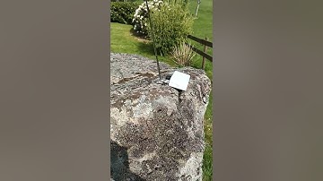 Russian Alfa transmitter on 14kHz LF with roWaves receiver.