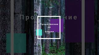 Истории из жизни 📕 Как трудолюбие и отзывчивость привели к неожиданной любви? 📘 Жизненные истории