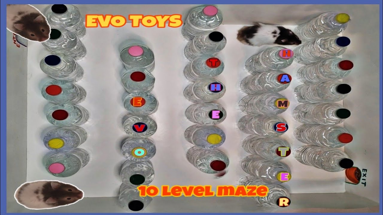 hamster maze mod apk hamster maze mod apk