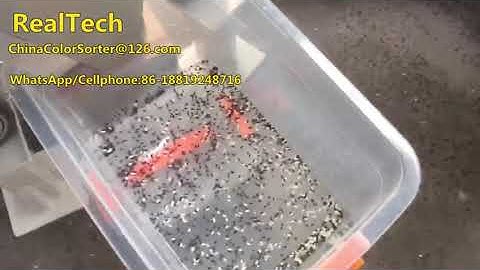 MINI color sorter, RGB CCD color sorter for rice, small color sorter for rice