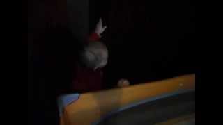 SDC13295