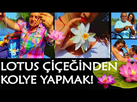 LOTUS ÇİÇEĞİNDEN KOLYE YAPMAK! Nilüfer Çiçeği / KÜBA