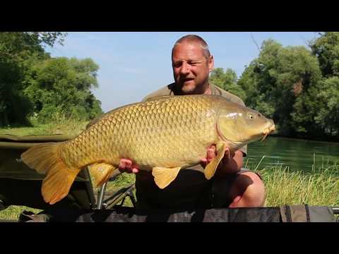 5 points pour une big carpe method by Carpecanal