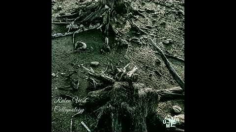 Ruben Void - Collapsology (2020) Full Album