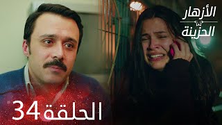 الأزهار الحزينة | الحلقة 34 كاملة | Kırgın Çiçekler