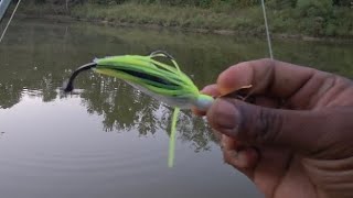 картинка: Посадите меня в аквариум! #рыбалка #рыба #fyp