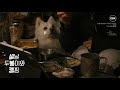 설날 두봉이랑 캠핑ㅣ요토 플러스 아이보리 ㅣ 은사시 힐링 캠핑장