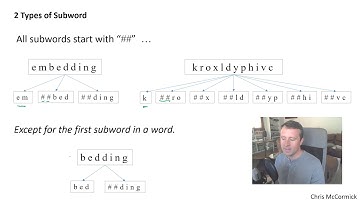 BERT Research - Ep. 2 - WordPiece Embeddings