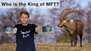 Olympus OM-1 vs Panasonic G9 II - Which MFT camera for wildlife photography?