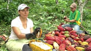 DOCUMENTAL ENTRE LAS MONTAÑAS DE CHUCURÍ 🇨🇴🥑#colombia #viral #motivation #mountains #parati #respect