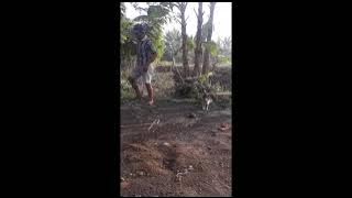 SSK 1081-1094 | Macul Kaplingan untuk ditanami Pohon Singkong