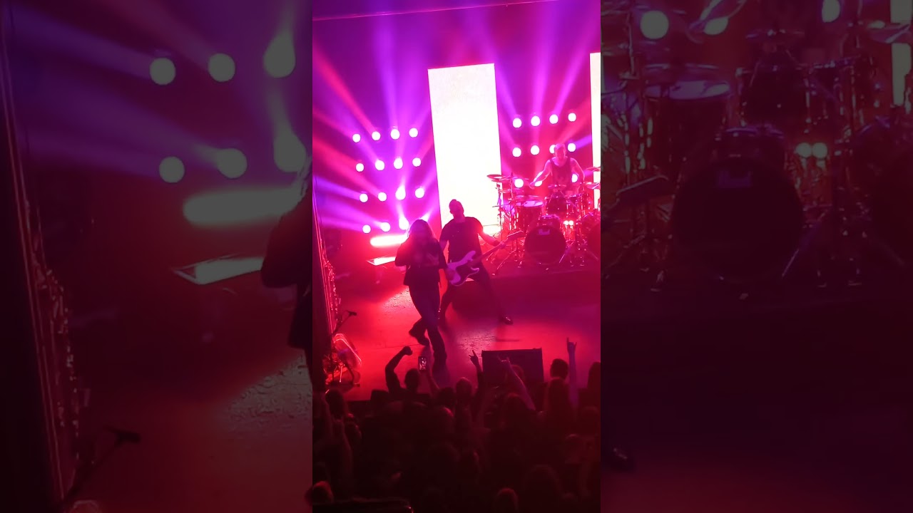 Dark Tranquillity - Where Death Is Most Alive (Live In