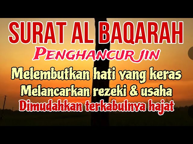 Murottal Pengantar Tidur || Surat Al-Baqarah - Penghapus Dosa, Penenang Qolbu class=