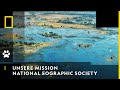 NATIONAL EOGRAPHIC SOCIETY - Unsere Mission: Unser Planet | National Geographic