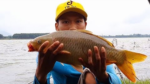 Ra hồ núi le test Bài mồi mới và cái kết | Đam Mê Câu Cá TV