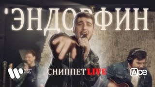 Video thumbnail of "MORRALY — ЭНДОРФИН | Live"