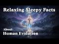 The Dreamy Story of Human Evolution — Fall Asleep to Science