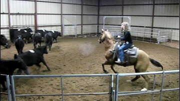 Lil Cuttin Critter - 2/18/12 sorting jackpot - 59.60 on 8 head - Valley View Ranch