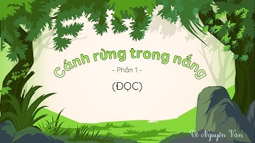 Bài 3: Cánh rừng trong nắng - Phần 1 - Tiếng Việt 3 - Kết nối tri thức với cuộc sống [OLM.VN]