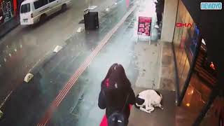 Kaldırımda Yatan Köpek Soğuktan Üşümesin Diye Kendi Şalıyla Köpeğin Üstünü Örten Güzel Insan.