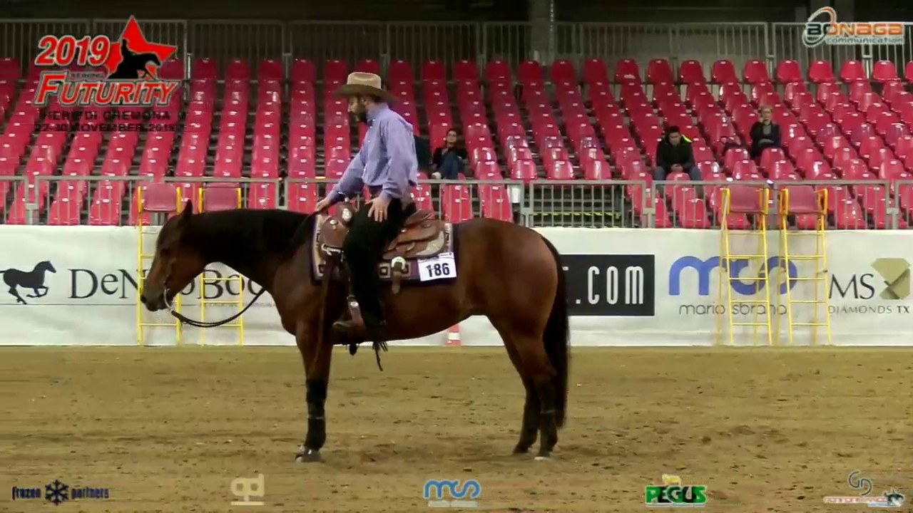 Futurity 2019 - MORENO SACCHI & CONQUISTADOR MONEY score 145