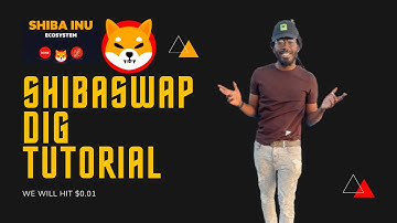 *MASSIVE* #1 SHIBA INU SHIB SHIBASWAP DIG TUTORIAL REVIEW + MY STRATEGY ON DAY 1