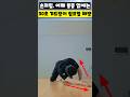 손저림과 어깨 통증 없애는, 30초 겨드랑이 림프절 해방 #손저림해결 #겨드랑이림프 #액화신경망 #라운드숄더교정 #어깨통증재활 #네발기기운동 #근막이완 #운동재활박사최영한