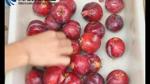 CL I Automatic Plum Stoner,plum pit removing machine