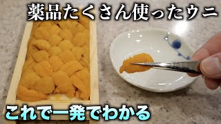 薬品たっぷりの安いウニはこれで一発で見抜けます！