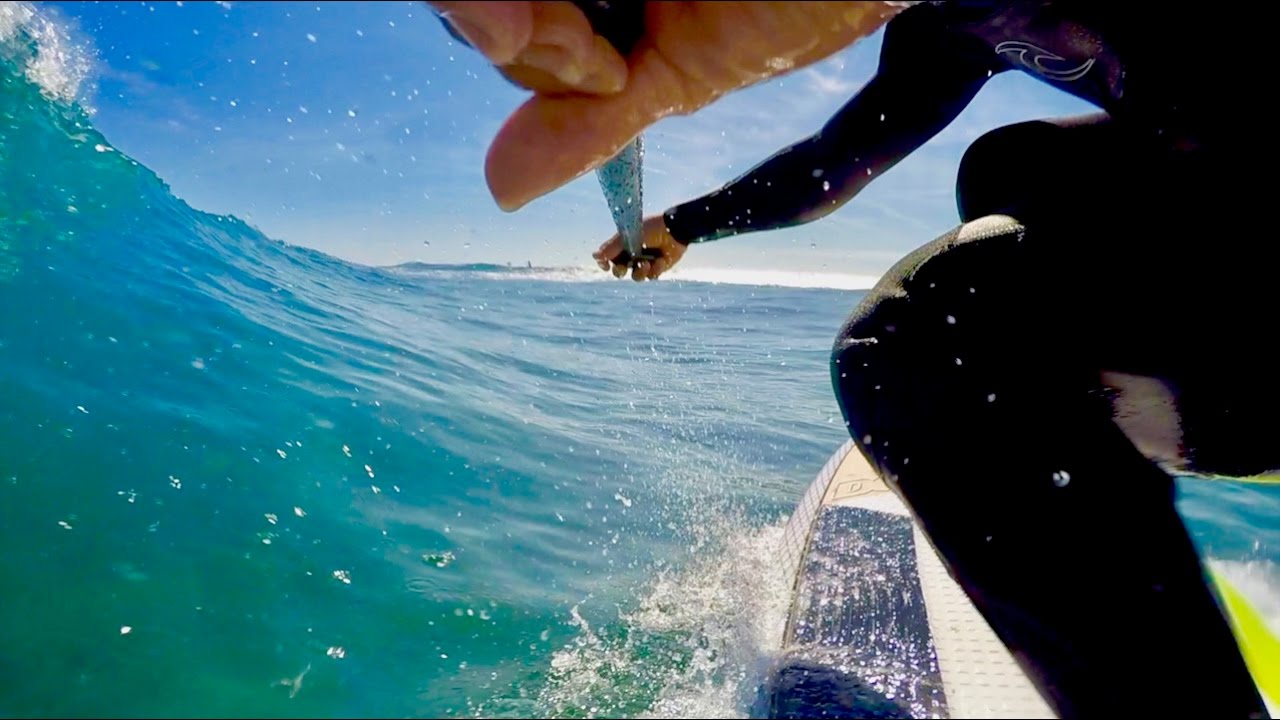 FLORIDA OUTER REEF PADDLE SURFING