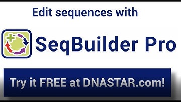 DNASTAR - Sequence creation and editing in SeqBuilder Pro