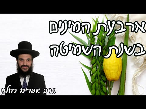 ארבעת המינים בשנת השמיטה | קצרים