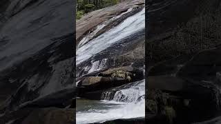 High Falls, DuPont State Forest North Carolina #northcarolina #waterfall #nature #travel #movies