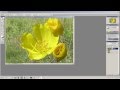 Terry's Photoshop Show #2 - Non-Destructive Editing, Selections and Masks