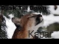 Dusk Till Down || Караг