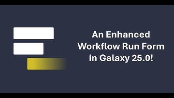 Galaxy 25.0 - An Enhanced Workflow Run Form