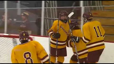 12/22/17 - Boys Hockey - Deforest 2, Aquinas-Holme...